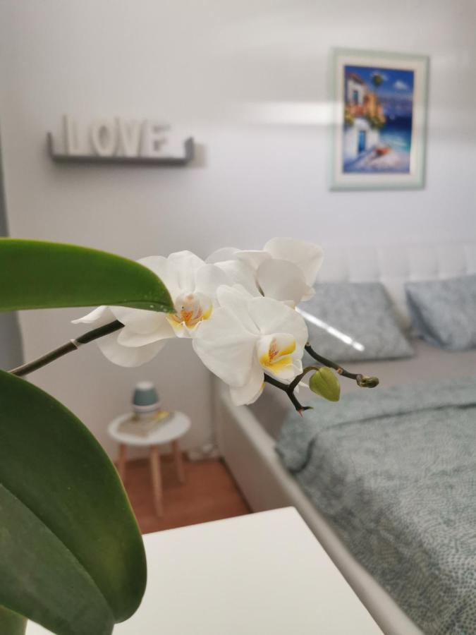 Kenzo Apartment Сень Екстер'єр фото
