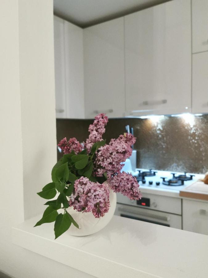 Kenzo Apartment Сень Екстер'єр фото